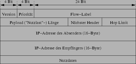 \includegraphics[width=\textwidth]{ipv6_head.eps}
